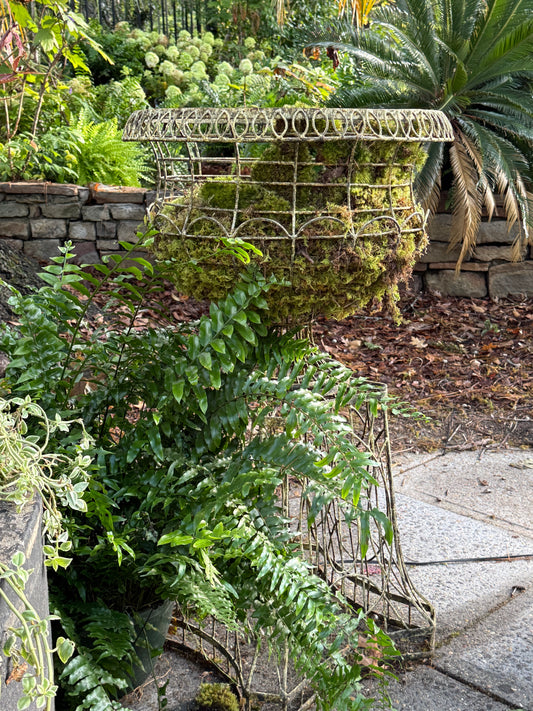 Sculptural Wirework Garden Jardinières (Pair)