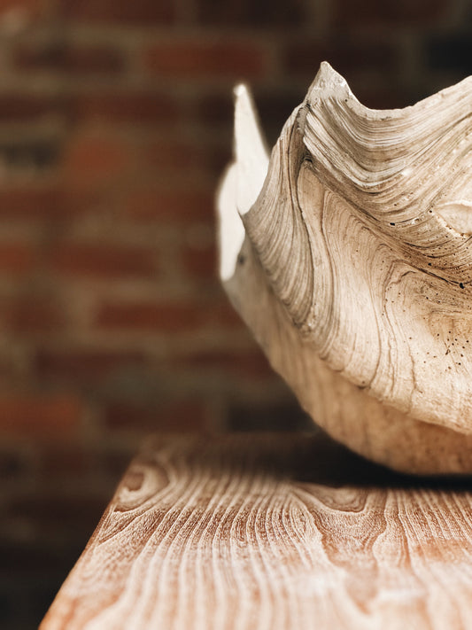 Giant Clam Shell