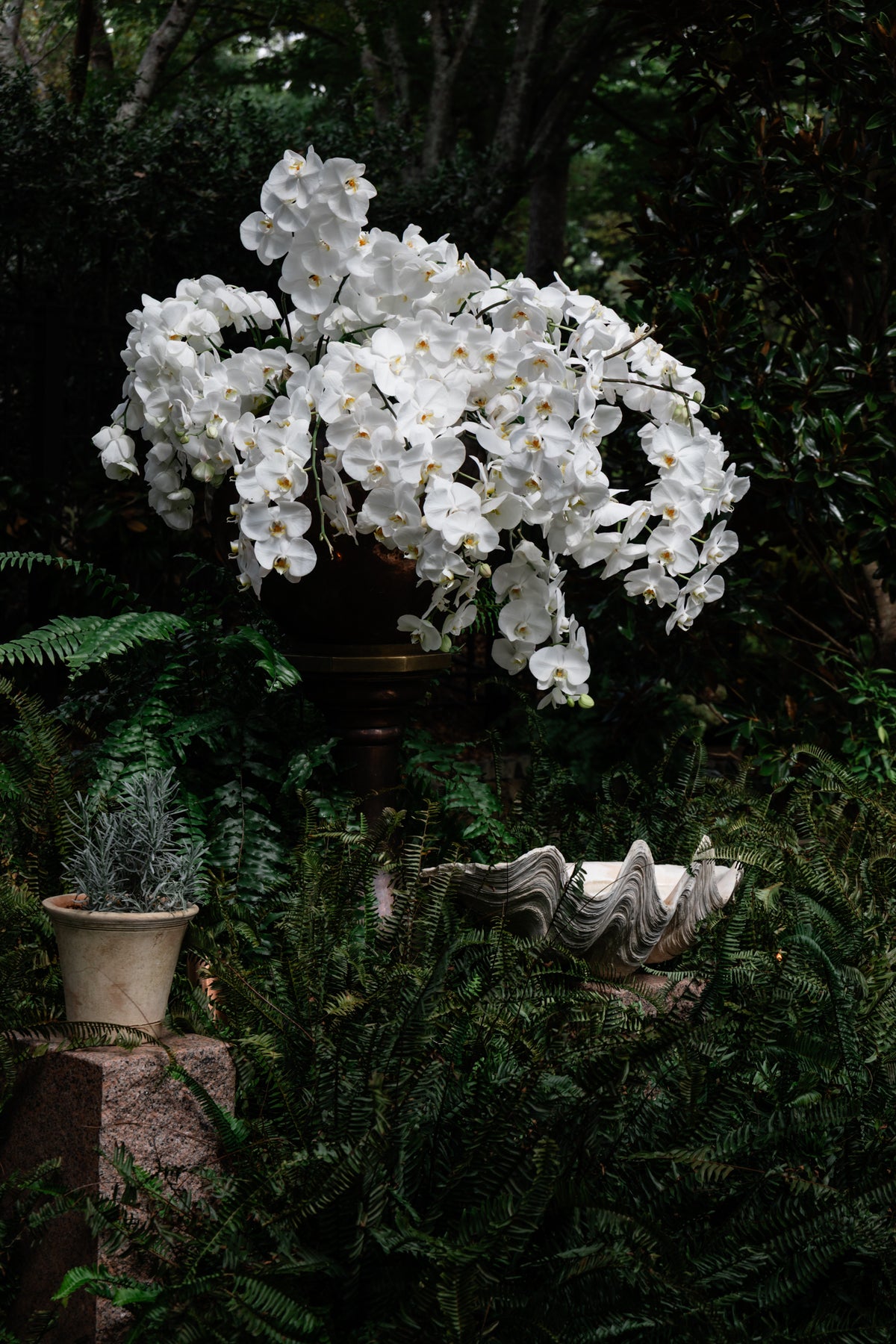 Editorial store image