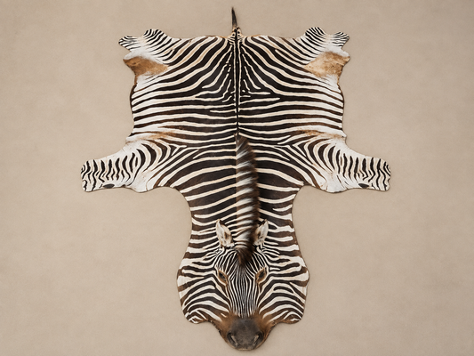 African Plains Zebra Soft Tanned Skin
